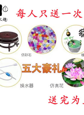 流水趣 流水摆件鱼缸造景陶瓷鱼缸荷花缸流水鱼缸睡莲缸室外庭院