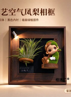 创意DIY空气凤梨相框磁吸背板