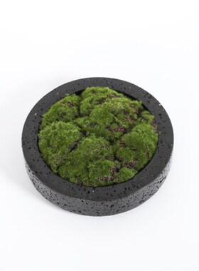 新中式现代仿洞石黑色树脂花盆仿真绿植装饰客厅桌面艺术装饰摆件
