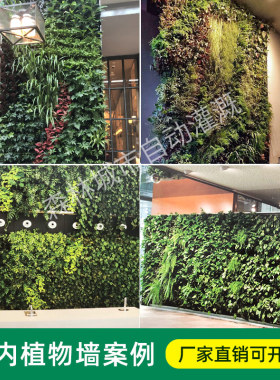 室内种植盒植物墙花盆内循环系统自动滴灌设备弯头滴头灌溉全套