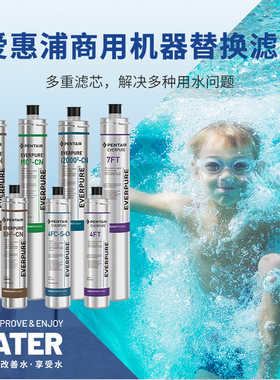 爱惠浦商用净水器滤芯官方正品