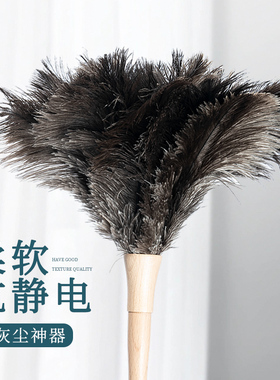鸵鸟毛掸子静电除尘清洁鸡毛掸长柄车载家用钢琴古玩玉器摆件扫灰