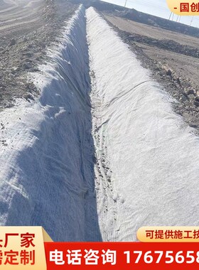 新型混凝土水泥毯浇水固化河道改造护坡工程毯沟渠养护固坝水泥