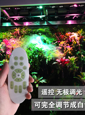 雨林缸全光谱植物灯 雨林景观工程专用射灯水草灯海水灯植物发色