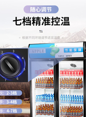 立式冷藏展示柜商用风直冷单门水果保鲜双门啤酒冰柜超市三门饮料