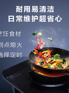 燚龙电焰新能源等离子家用电焰灶
