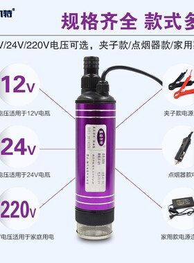 12V大流量抽水泵24V柴油抽油泵220v家用电动自吸小型潜水泵抽酒泵