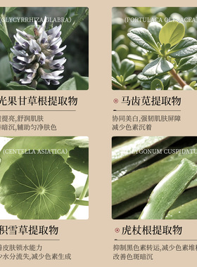 云南本草草本美白祛斑精华