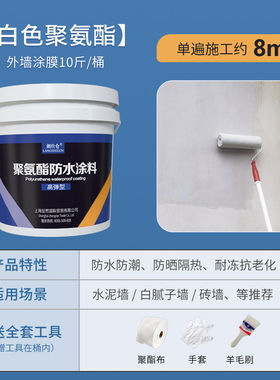 现货外墙防水涂料防漏水补屋顶材料房屋裂缝补漏王楼顶室外防水胶
