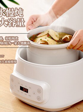 3L陶瓷电炖锅g出口110v伏全自动隔水电炖盅可分胆多功能预约炖锅