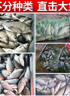 室外吊机起重机鱼塘支架220v电动葫芦380v水库捕捞提升机钓鱼机