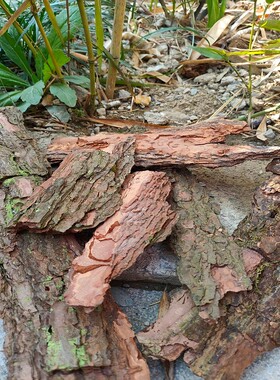 松树皮 干树皮造景拍摄背景道具 DIY材料 乡村风格家居装饰