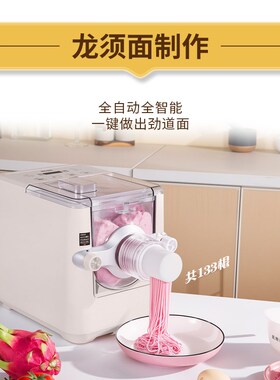 2026新款电动压面机家庭用小型全自动饺子皮面包一体揉面和面条机