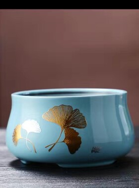 电陶炉新款提梁壶煮茶器煮茶炉玻璃红茶泡茶壶耐高温多功能烧水壶