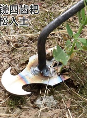德国进口家用拔草神器多功能除草器懒人农用工具大全耙子专用