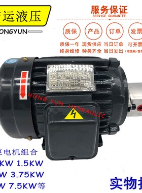 液压油泵电机组HGP-1A+1.5KW2.2KW总成内轴电机液压站配件系统