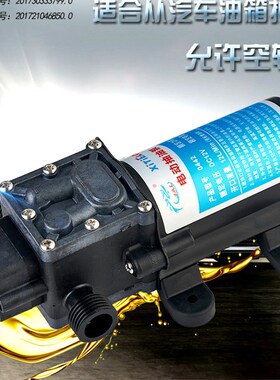 大流量电动抽油泵抽油器12v小型汽车家用抽机油箱汽油泵 加油神器