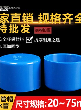 PVC给水管管帽 管堵 闷头 堵头20 25 32 40 50 63 75 90 110 160