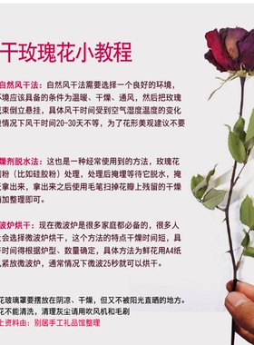 软木塞加高款玻璃罩 玫瑰干花收纳摆件diy饰品玻璃瓶试管瓶许愿瓶