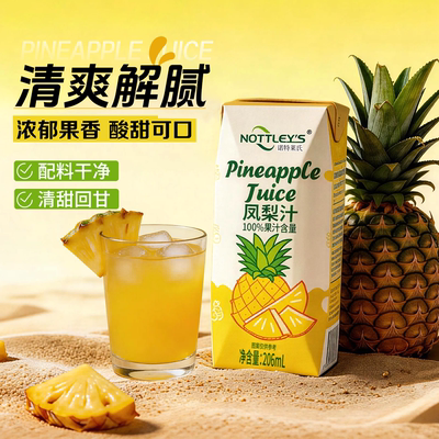 诺特莱氏凤梨汁苹果汁芭乐汁清爽解腻果蔬饮料206ml*6盒/12盒整箱