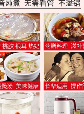 燕窝专用炖盅玻璃电炖杯一人办公室迷你燕窝机专业炖锅小型养生壶