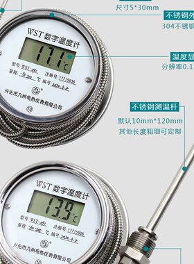 数显温度计WST/DTM491高精度酸碱温度表工业防水水温表高温测温表