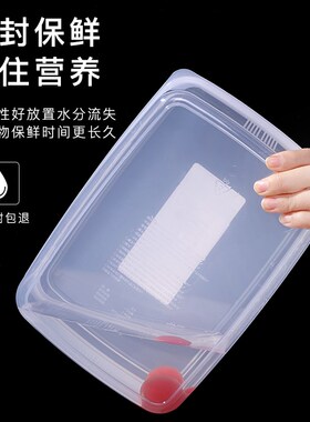 日本进口冰箱专用收纳盒水果保鲜盒冷冻食品级塑料大容量密封盒子