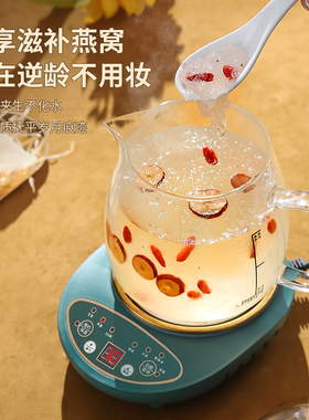 家用大容量炖煮一体多功能养生壶砂锅药煲静音陶瓷中药电药锅绿色
