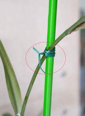 园艺花杆包塑扎绳绿线扎带铁丝铁线爬藤植物支撑造型捆绑带花架