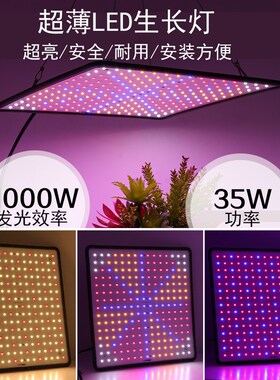 全光谱led植物生长灯温室大棚方形多肉帐篷种植灯1000W超薄补光灯