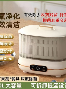 果蔬清洗净化器食材去农残臭氧消毒机肉类清洗机新家用消毒机