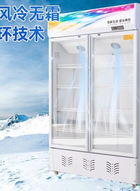 智冰客饮料展示柜冷藏保鲜冰柜大容量双开门超市立式单门啤酒冰柜
