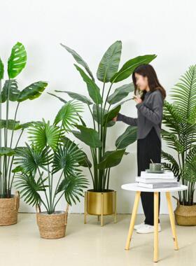 彷真植物彷真树旅人蕉大型落地绿植盆栽室内客厅家居装饰摆件假树