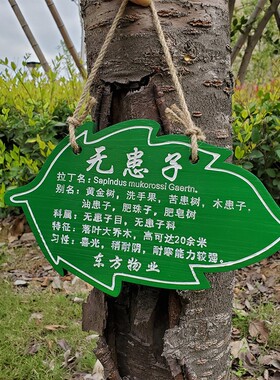 木质花草牌树木牌树牌定制实装饰挂牌悬挂广告牌定做植物标识牌