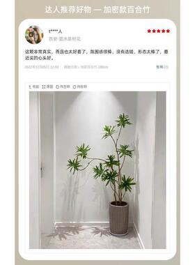 百合竹客厅真室内彷真绿色植物大型绿植绿植假盆栽落地彷真植物盆