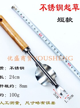 不锈钢园艺起草器农用挖野菜药小铲子挖蒜铲种花多肉移苗拔草工具
