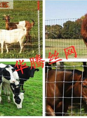 热度镀锌铁丝网 勾花网养殖围网热镀锌电焊网防护网定制铁丝网卷
