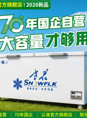 【国企制造】雪花商用冷冻大冰柜