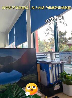 工位遮挡神器办公室桌面美化装饰摆件彷真人造绿植物叶子高级感