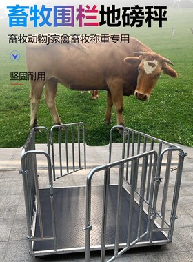 地磅秤养殖场1吨3吨带围栏小型地泵专用电子地磅秤称猪称牛电子秤