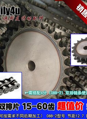 4分(08B-2)双排片链轮 高频淬火10-20牙选购 品质保障 规格齐全