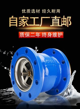 ()法兰消声止回阀H41X不锈钢芯立卧式单向水泵管道的DN40不锈钢