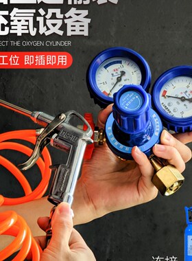 活鱼运输充氧气输氧套餐氧气管充氧枪氧气表活鱼袋子打包充氧设备