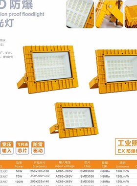 低压36vled防爆灯12v48v泛光灯24v防爆灯127v煤矿灯110v防水户外