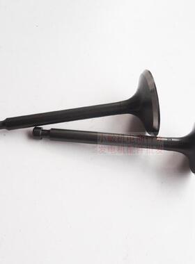 汽油发电机配件大3kw进排气门 消防泵切割机173F 177F GX270 气门