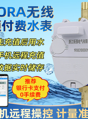 智能无线远传水表远程抄表预付费水表出租房家用自来水LoRa物联网