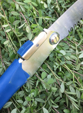 锯树锯子手锯木工快速折叠锯木头手工据神器伐木刀锯家用小型手持