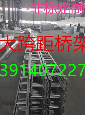 厂家直销梯式桥架300x100 梯式线槽 梯形网络桥架 梯型镀锌桥架