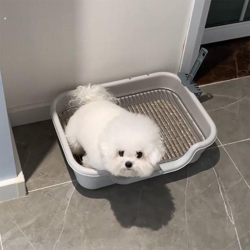 Dog toilet fixed-point toilet artifact small dog urinal basin pet anti-poop fixed urinal pad tray dog litter basin