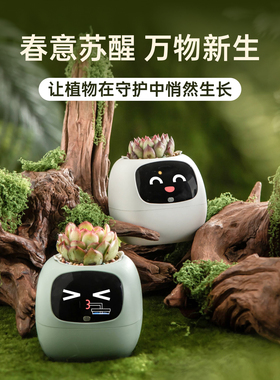 IVY2代AI机器人智能花盆自动浇水